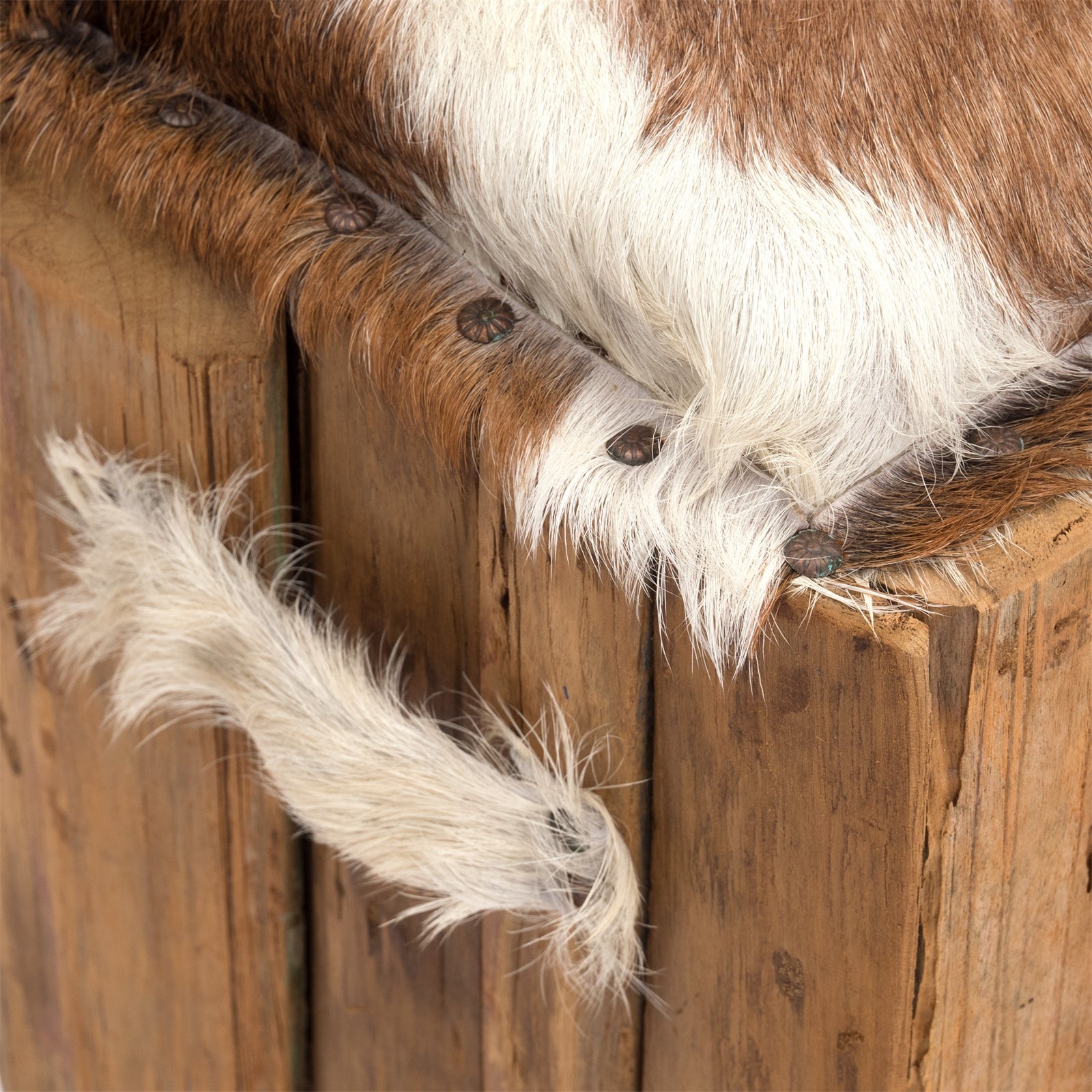 ZIEGEN FELL HOCKER "PETER" | Teakholz, 45 cm | Fellhocker, Sitzhocker