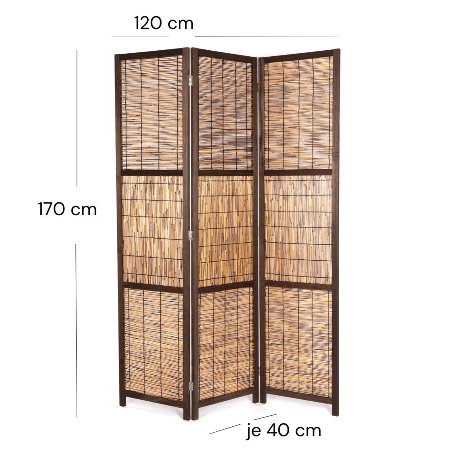 RAUMTEILER "CALA" | Schilfrohr, 170x120 cm | Natur Paravent