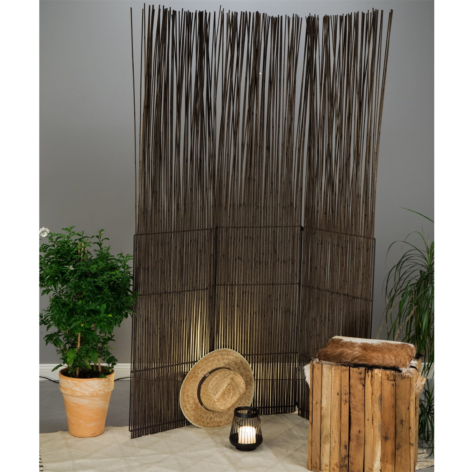 RAUMTEILER "SPIKE" | 170 cm, Weiden | Natur Paravent, Sichtschutz