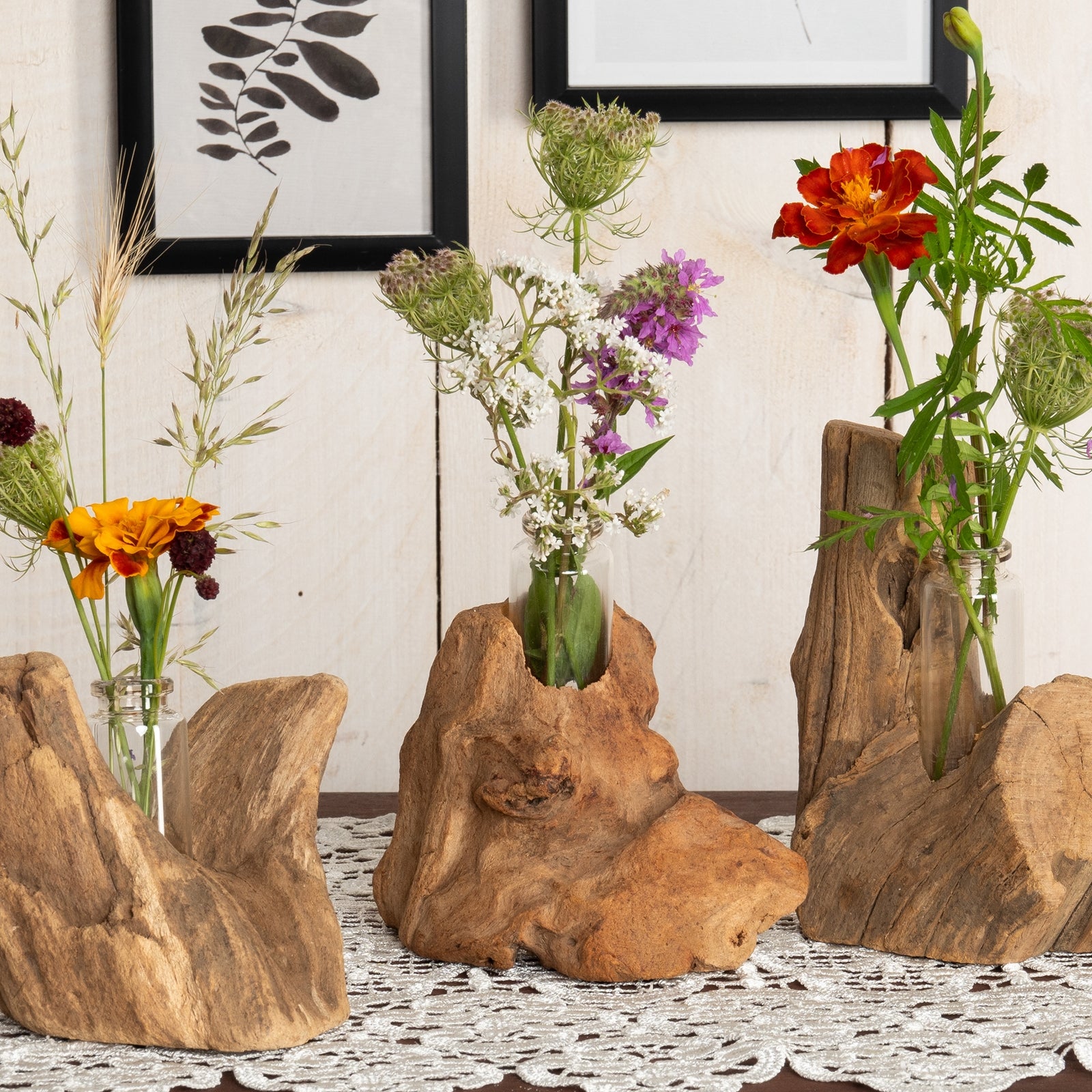TREIBHOLZ MIT REAGENZGLAS VASE