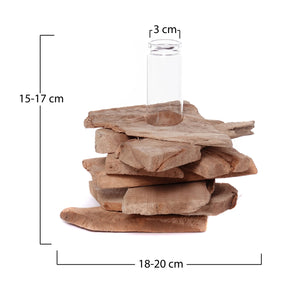 TREIBHOLZ MIT REAGENZGLAS VASE "TIANA" | 19cm | Natur Blumenvase