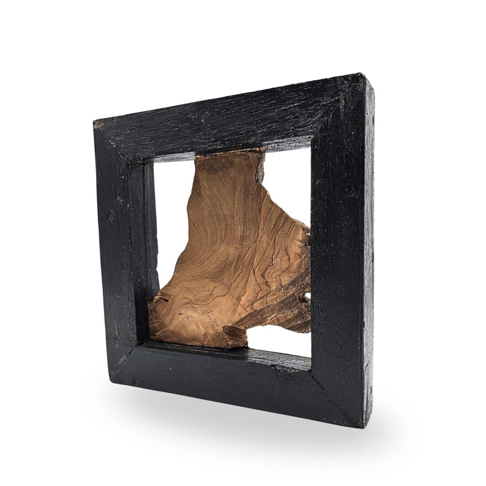 WAND OBJEKT "SPRIG"| 25cm, Treibholz | Baum Wanddeko, Wandskulptur