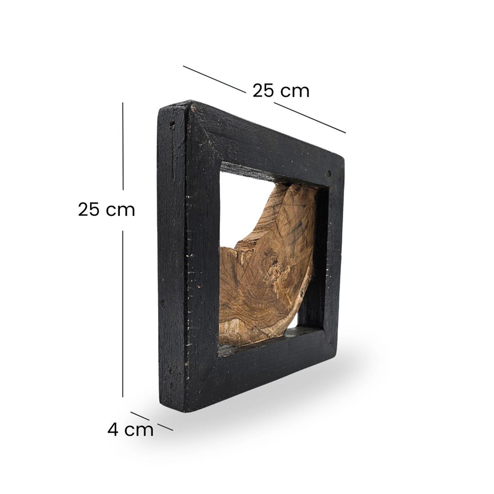 WAND OBJEKT "SPRIG"| 25cm, Treibholz | Baum Wanddeko, Wandskulptur