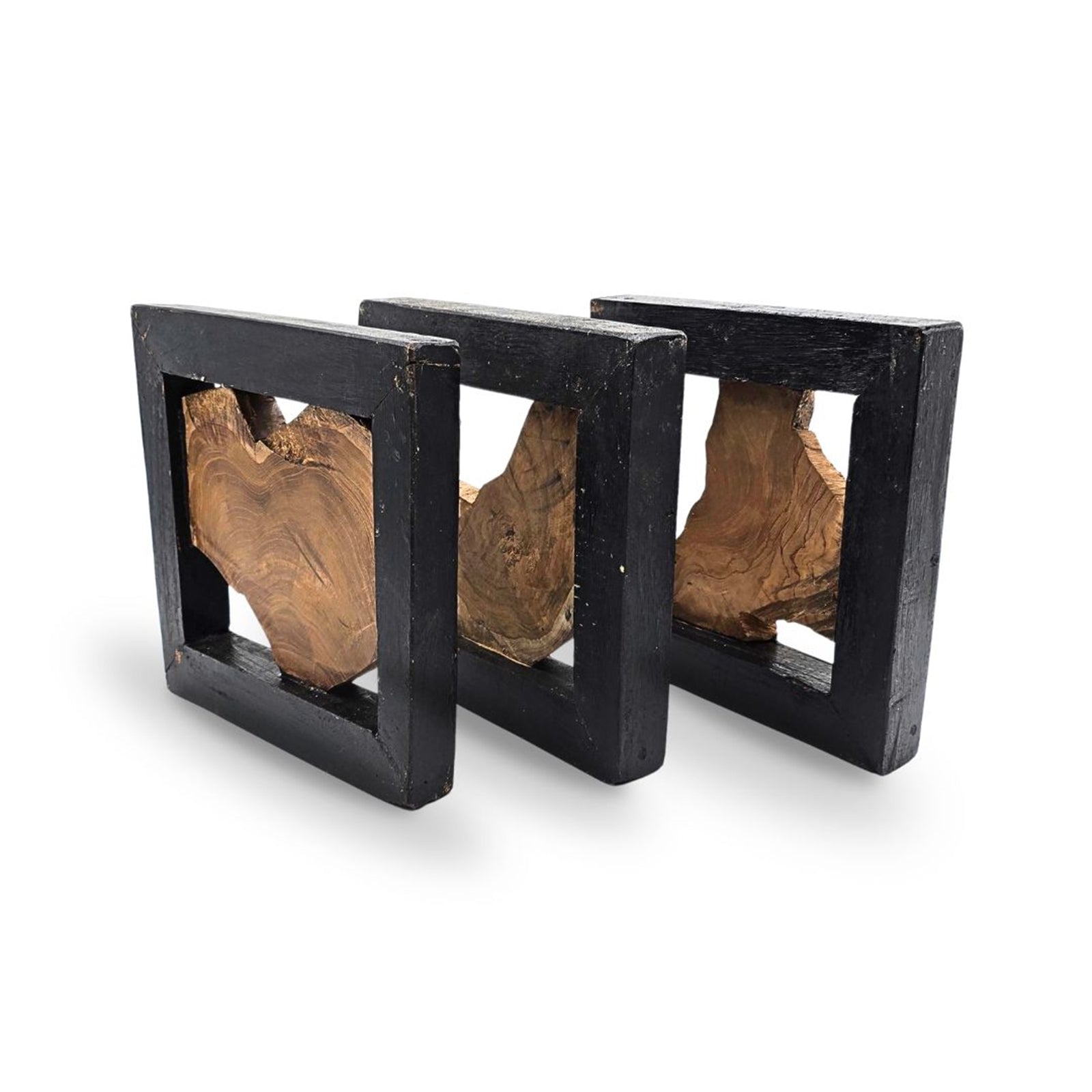 WAND OBJEKT "SPRIG"| 25cm, Treibholz | Baum Wanddeko, Wandskulptur