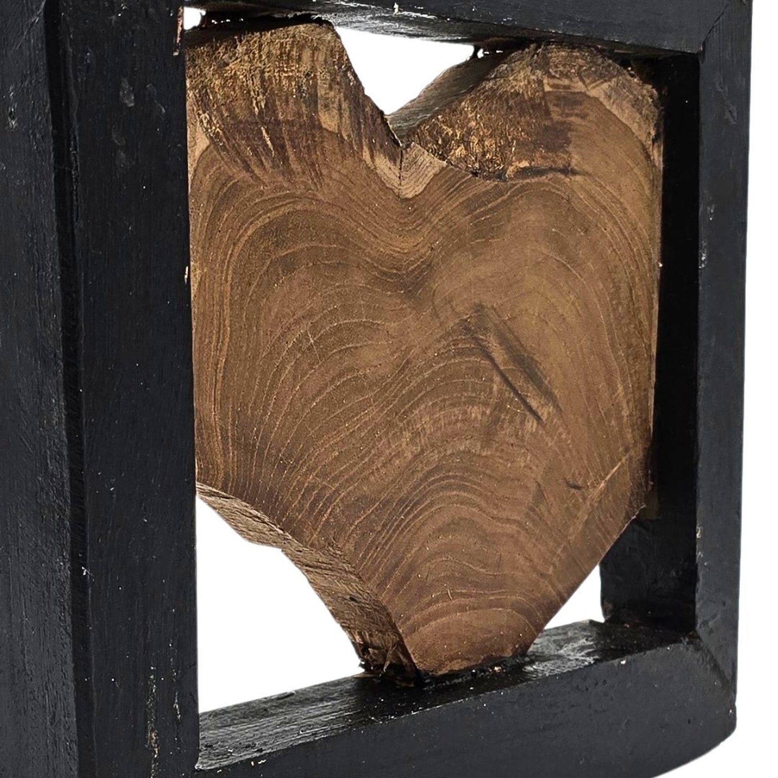 WAND OBJEKT "SPRIG"| 25cm, Treibholz | Baum Wanddeko, Wandskulptur