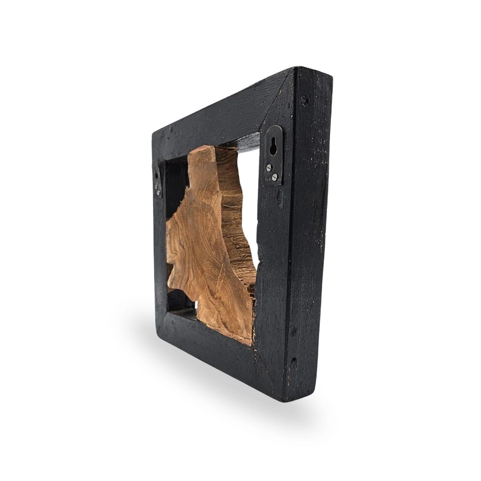 WAND OBJEKT "SPRIG"| 25cm, Treibholz | Baum Wanddeko, Wandskulptur