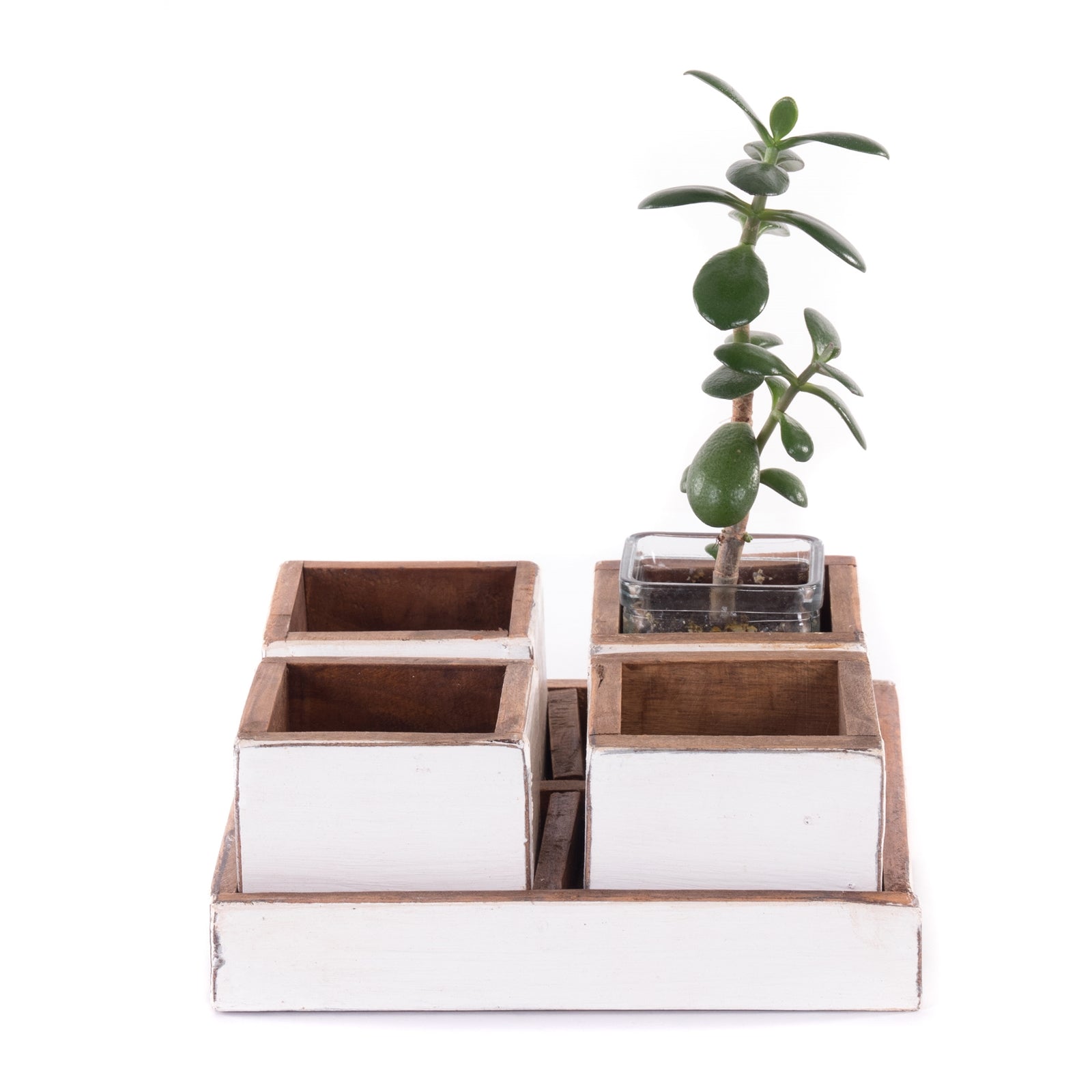 HOLZ AUFBEWAHRUNGSKISTEN "CUBO" | 24x9 cm (BxH), Mahagoni | Kistenset