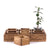 KISTEN SET "CUBO II" | Teak / Mahagoni | erweiterbares Set