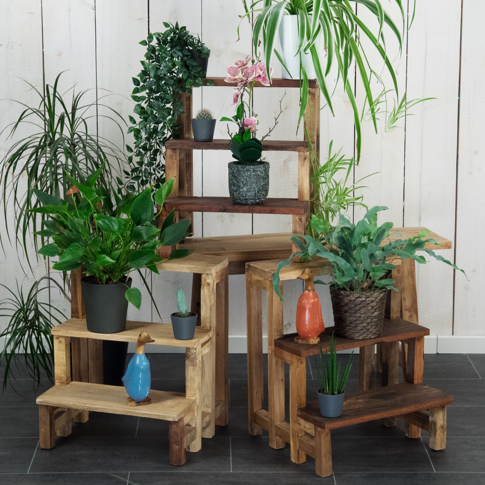 PFLANZENTREPPE "PALCO" | 3 Ebenen, Mahagoni | Holz Blumenständer