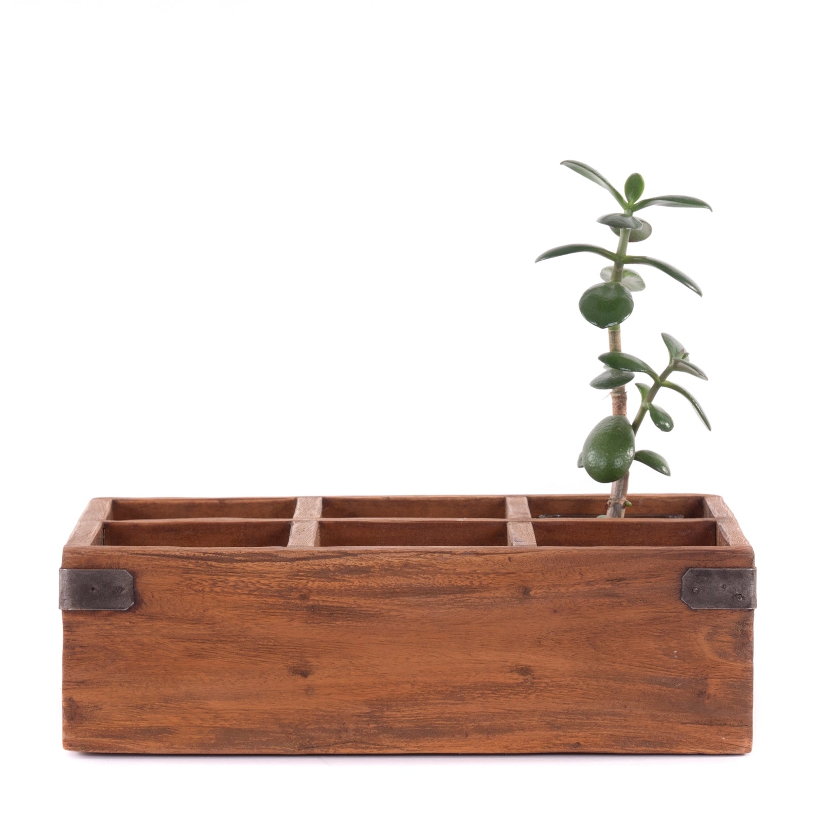 STIFTEHALTER "LARGO" | Mahagoni, 6 Fächer | rustikale Stiftebox