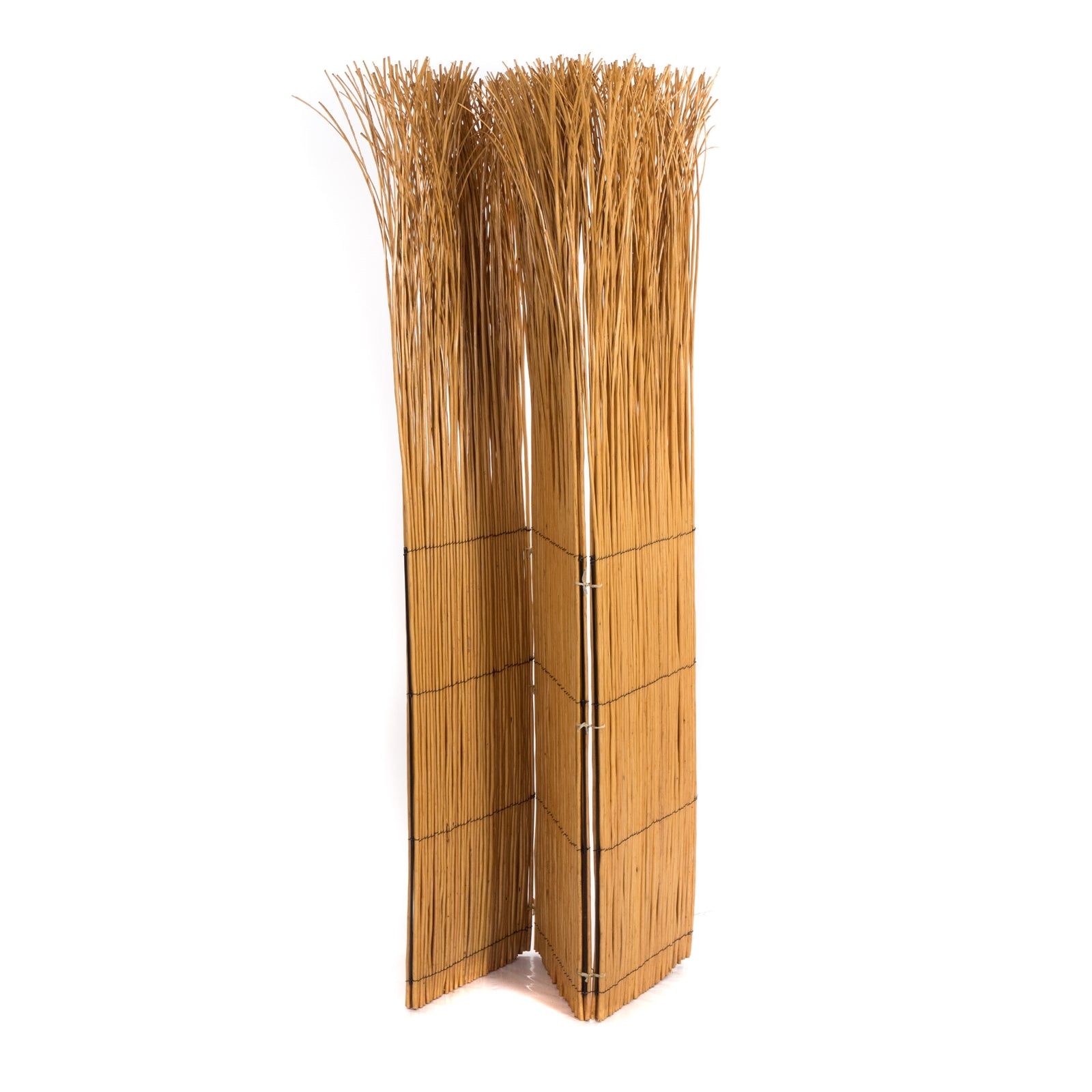 PARAVENT NATURE | honigfarben,160x120cm (LxB) Weide | Raumteiler