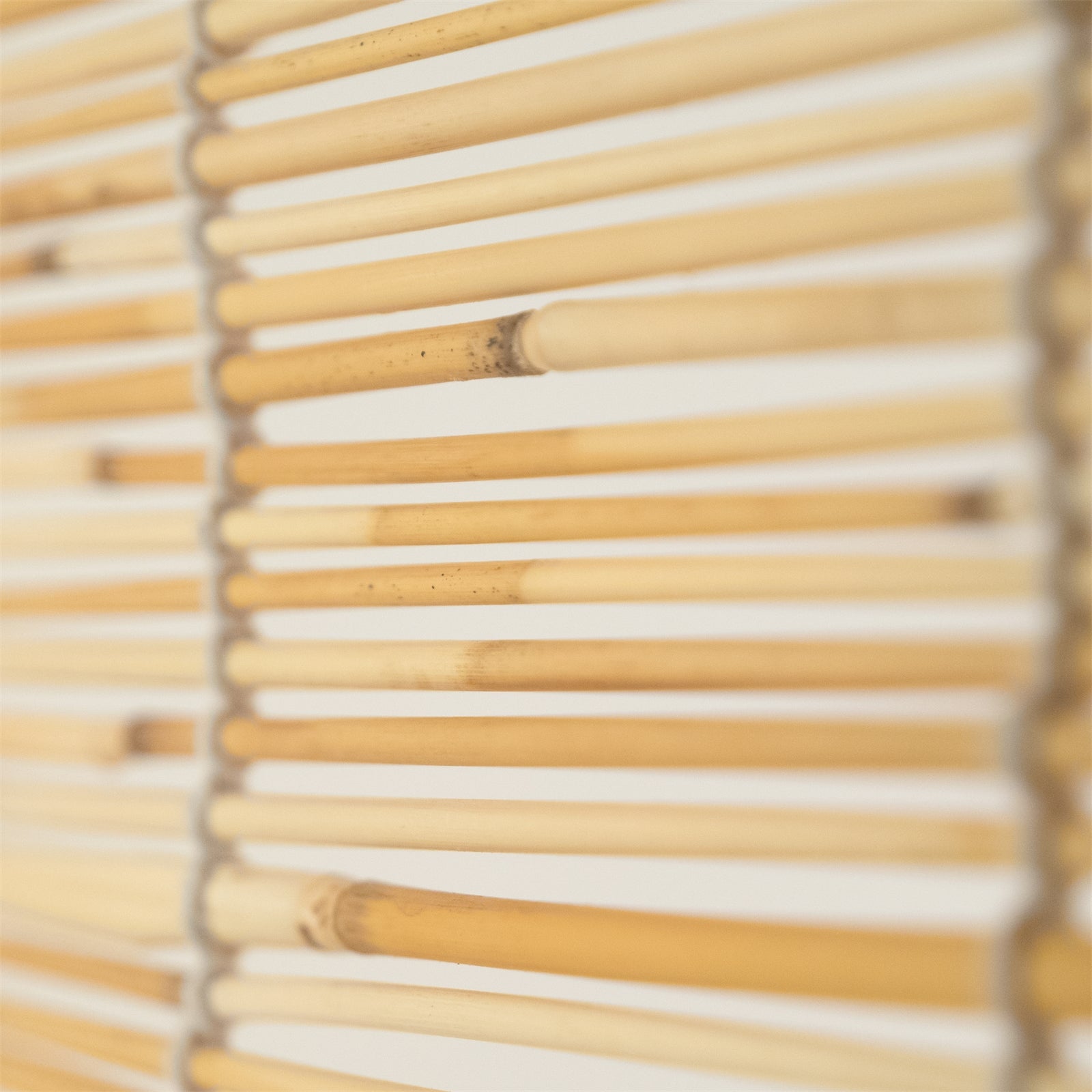 RAUMTEILER "PLAYA" | Schilfrohr, 170x120 cm | Natur Paravent