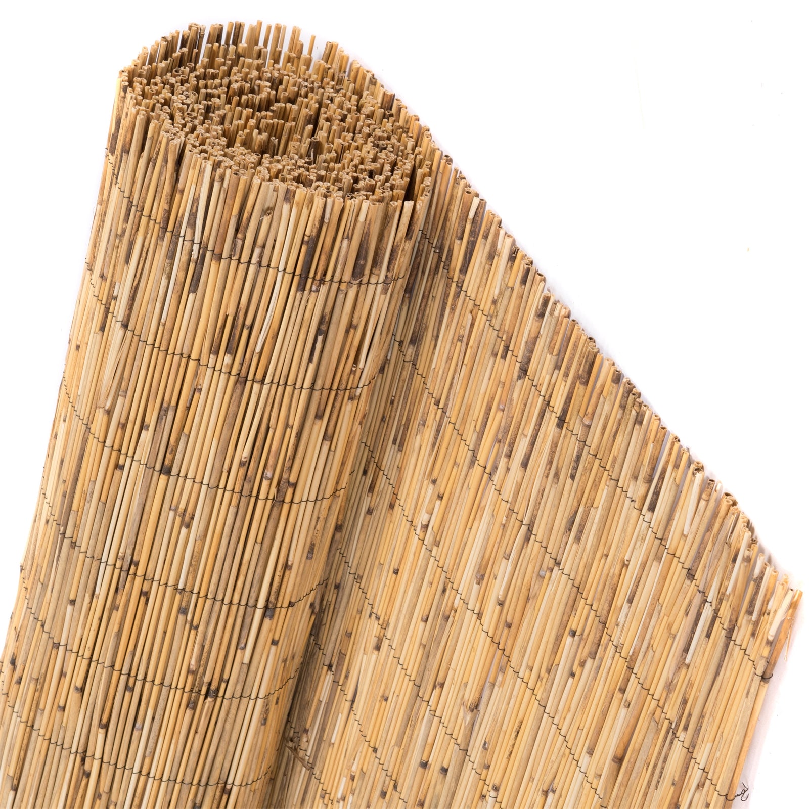 SCHILFROHRMATTE "AROA" | 600x160 cm | Schilfmatte, Sichtschutz