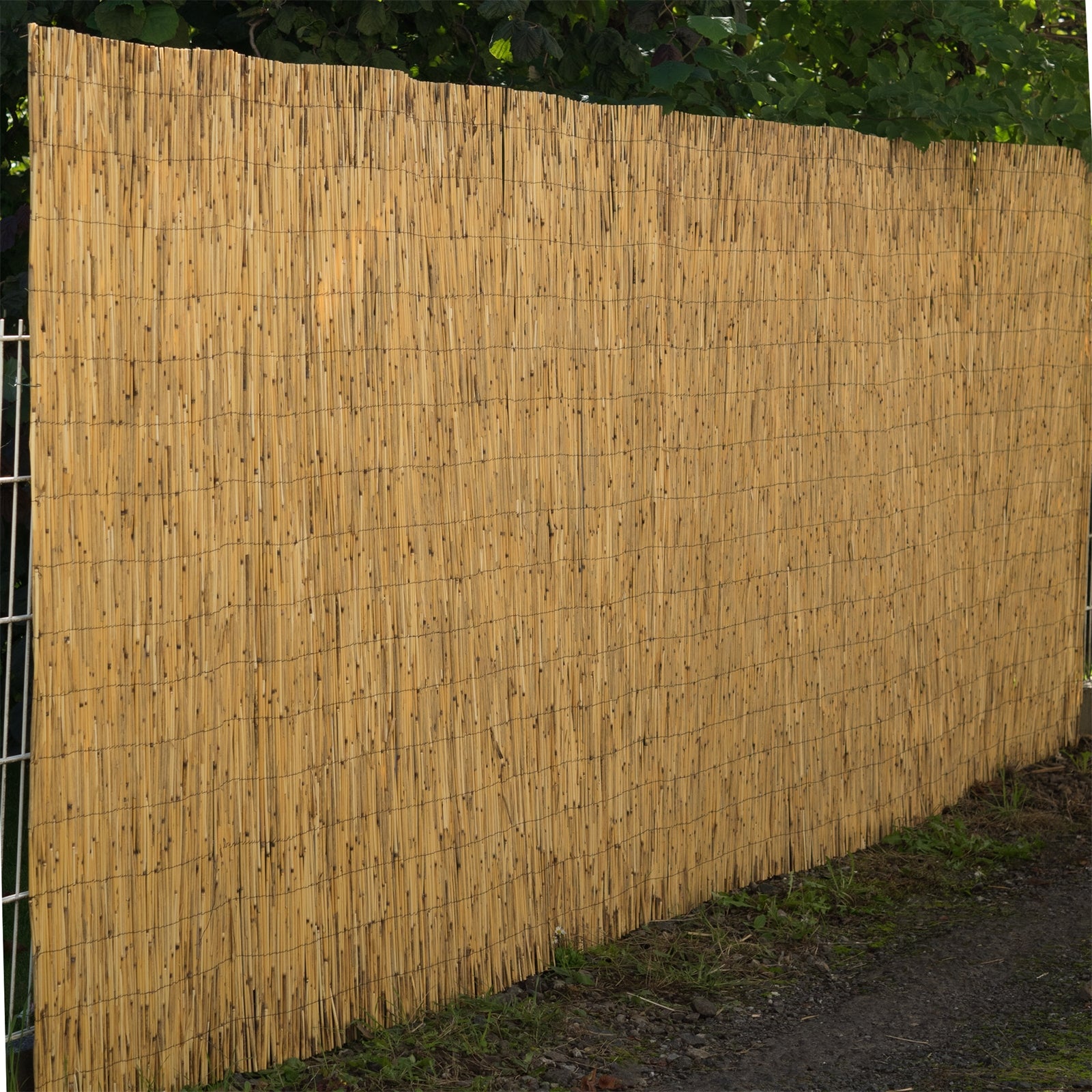 SCHILFROHRMATTE "AROA" | 600x160 cm | Schilfmatte, Sichtschutz