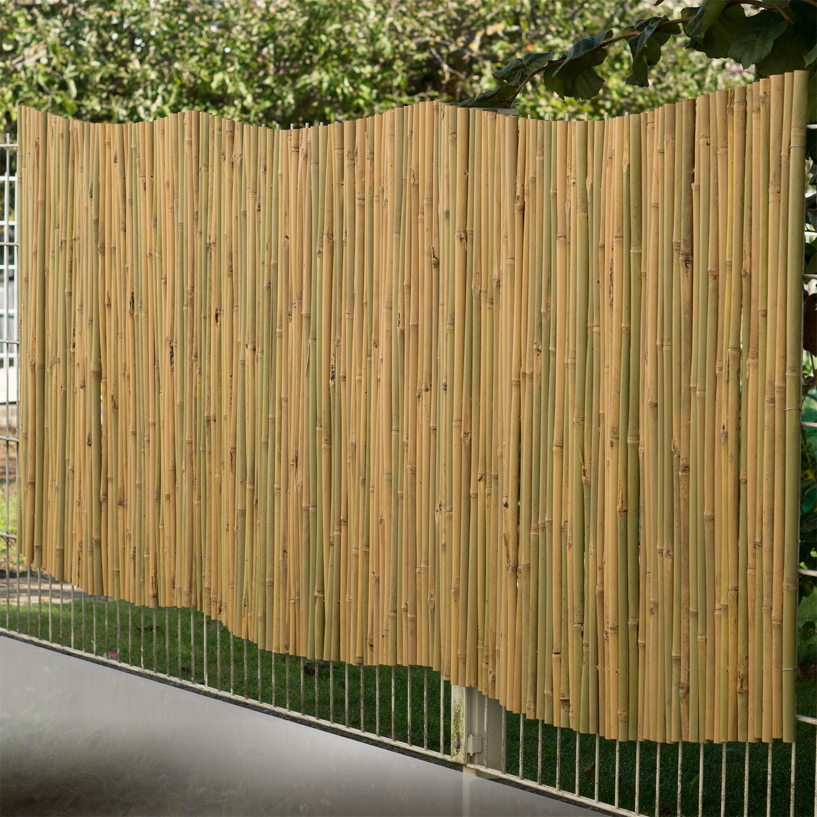 BAMBUSMATTE "LUKATA" Bambus, 250 cm Sichtschutz Matte Format 90